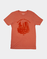 Denver LoDo Vintage Tee