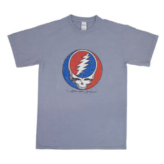 Grateful Dead Stonewashed Steal Your Face T Shirt