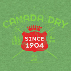 Vintage Faded Canada Dry Ginger Ale T-Shirt - Heather Kelly Green