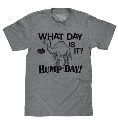 What Day Is It? Hump Day Camel T-Shirt - Gray