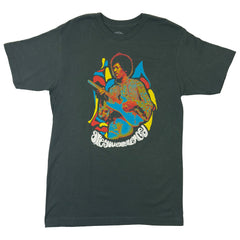 Jimi Hendrix Are You Experienced T Shirt